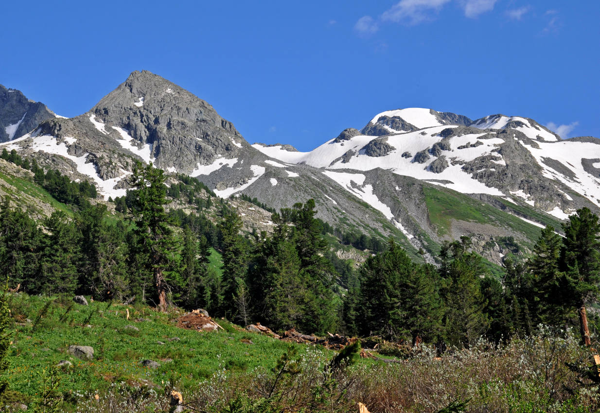 Верхнее Мультинское озеро, image of landscape/habitat.