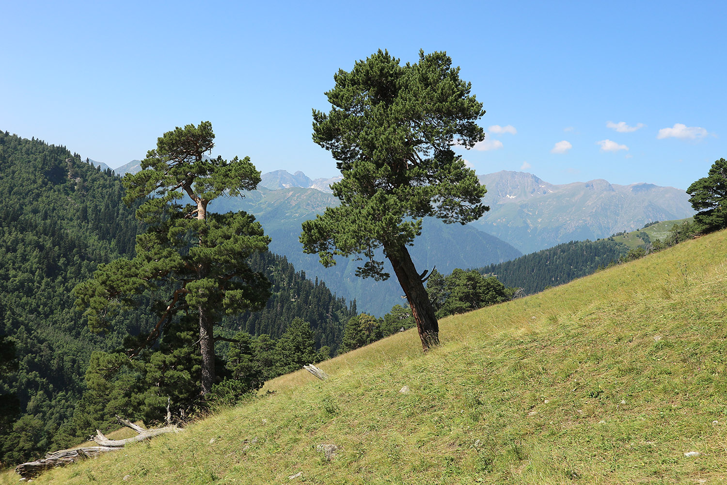 Долина реки Загедан, image of landscape/habitat.