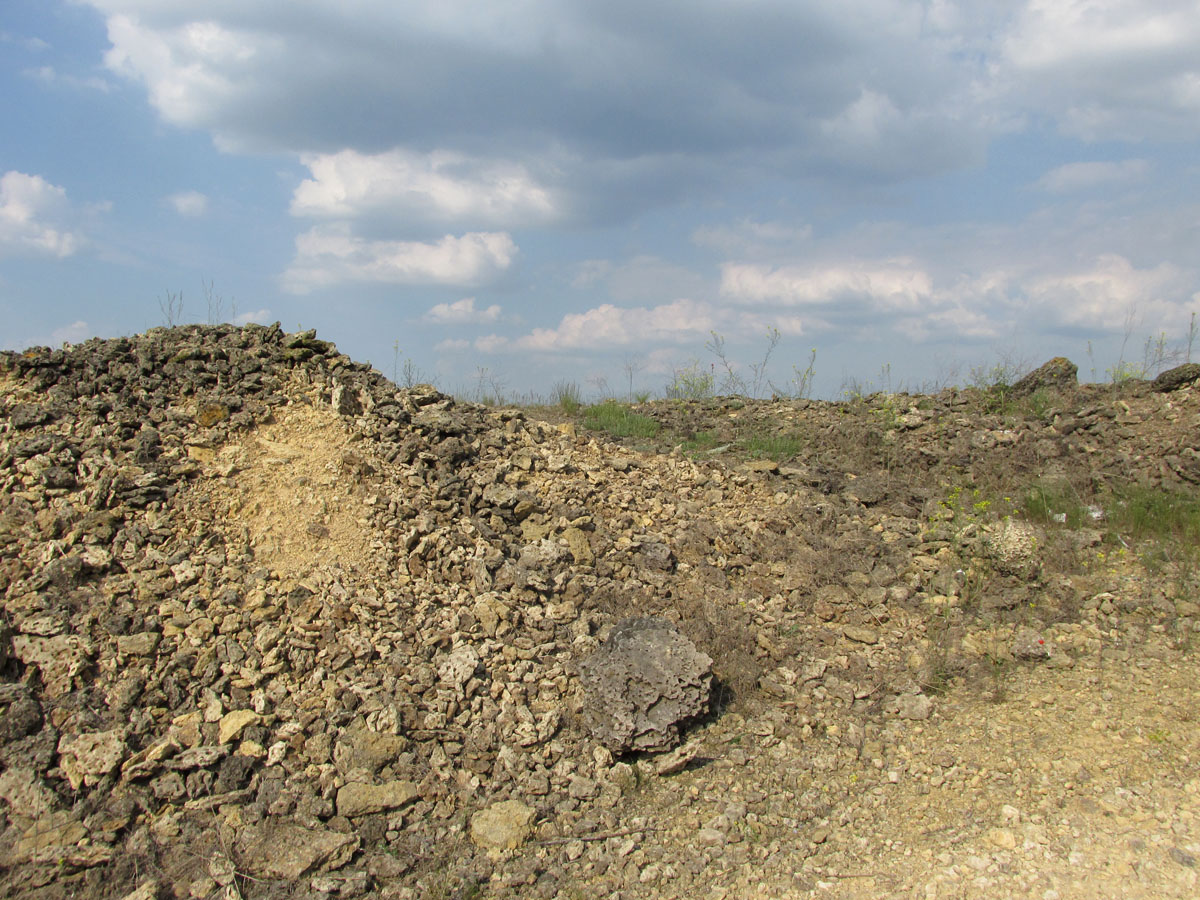 Окрестности Войково, image of landscape/habitat.