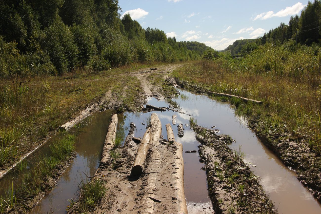 Окрестности руч. Верхний Мильнюк, image of landscape/habitat.