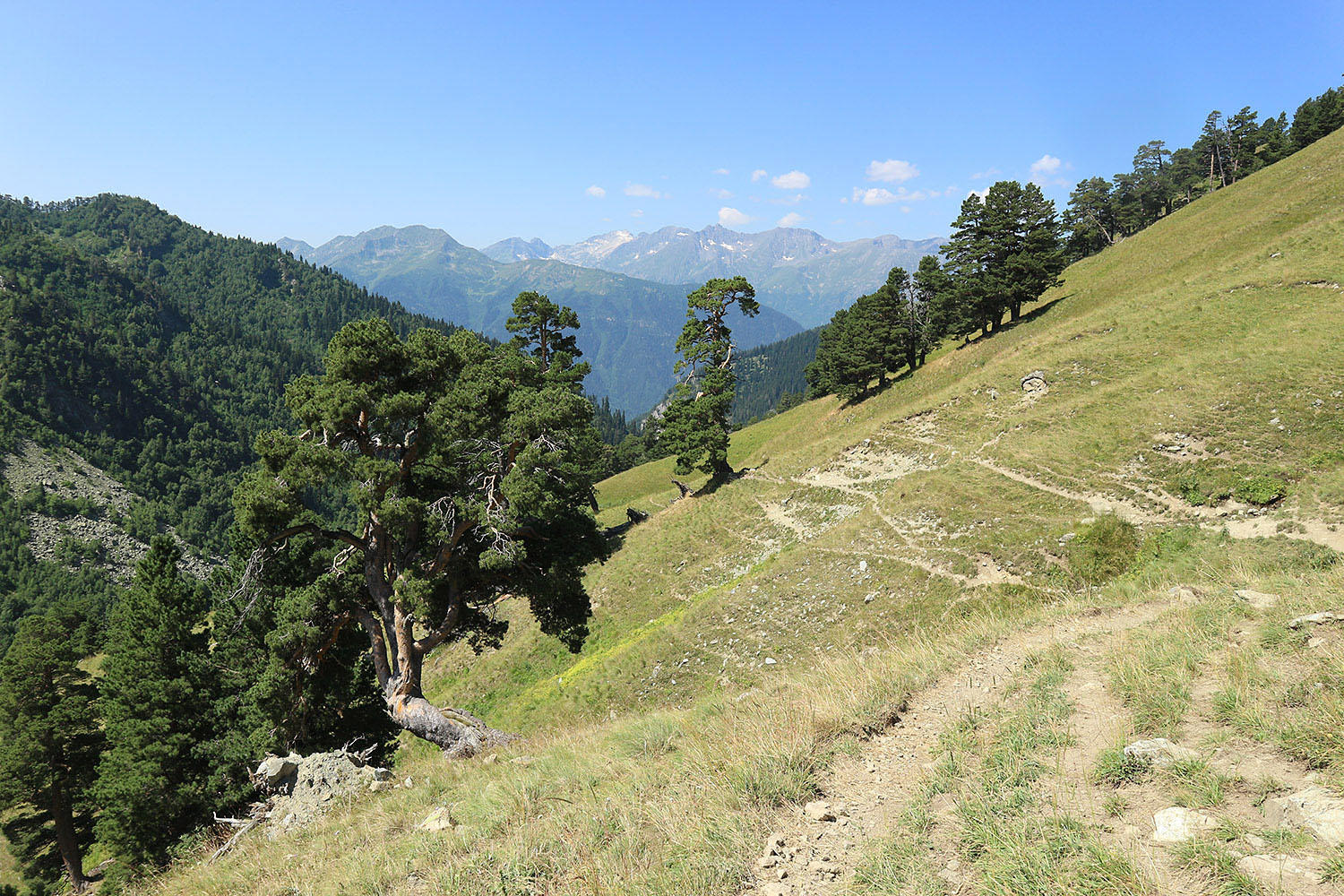 Долина реки Загедан, image of landscape/habitat.