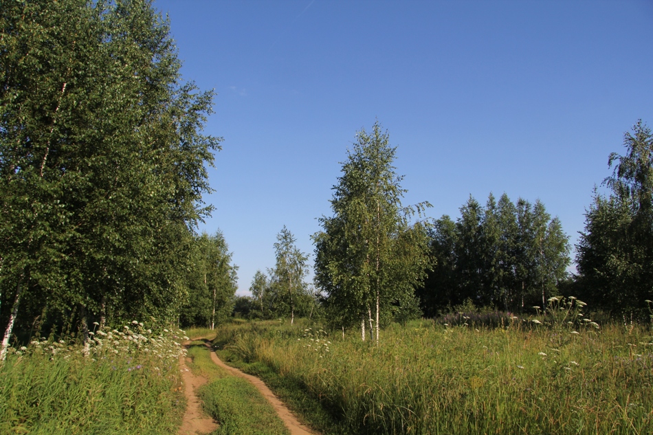 Долина реки Клязьма, image of landscape/habitat.