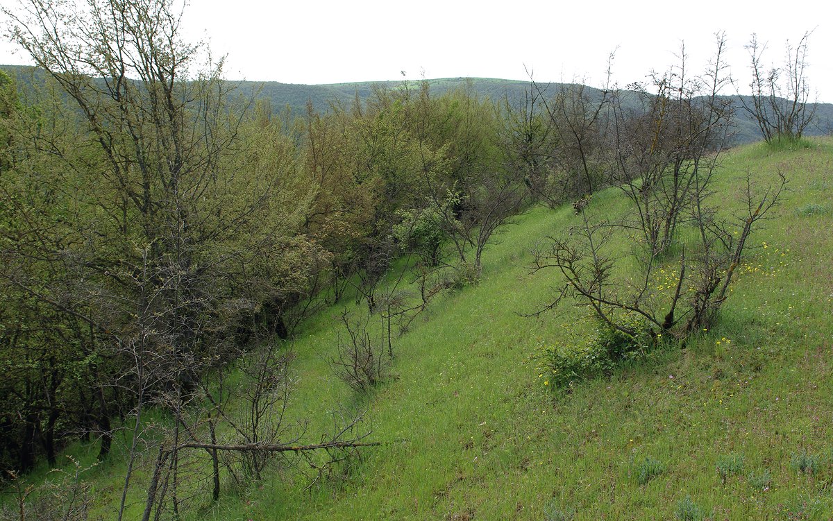 Ивановка, image of landscape/habitat.