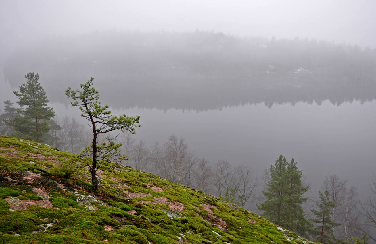 Беличьи скалы, image of landscape/habitat.