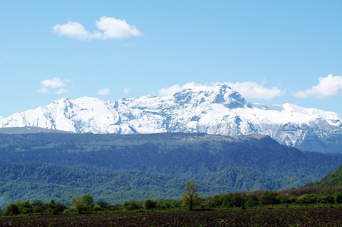 Юг Осетинской равнины, image of landscape/habitat.