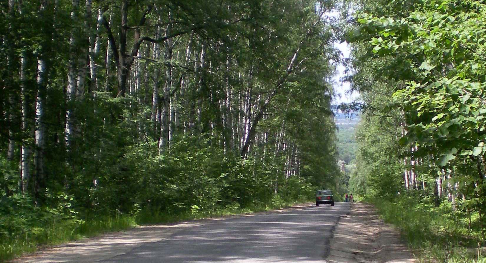 Окрестности города Заречного, image of landscape/habitat.