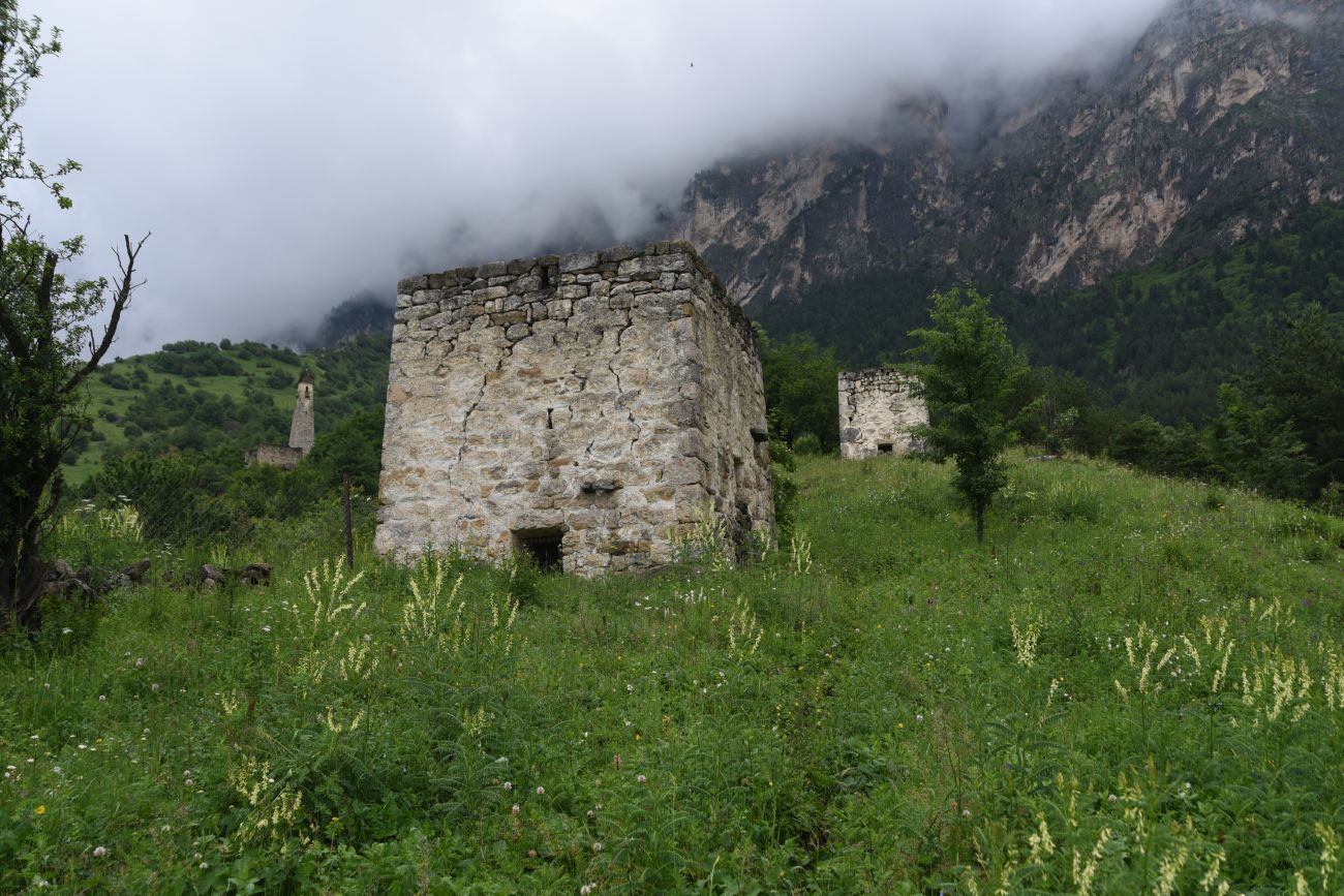 Окрестности урочища Нижний Лейми, image of landscape/habitat.