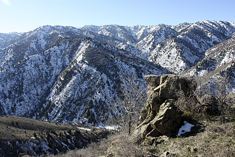 Чаткальский заповедник, image of landscape/habitat.