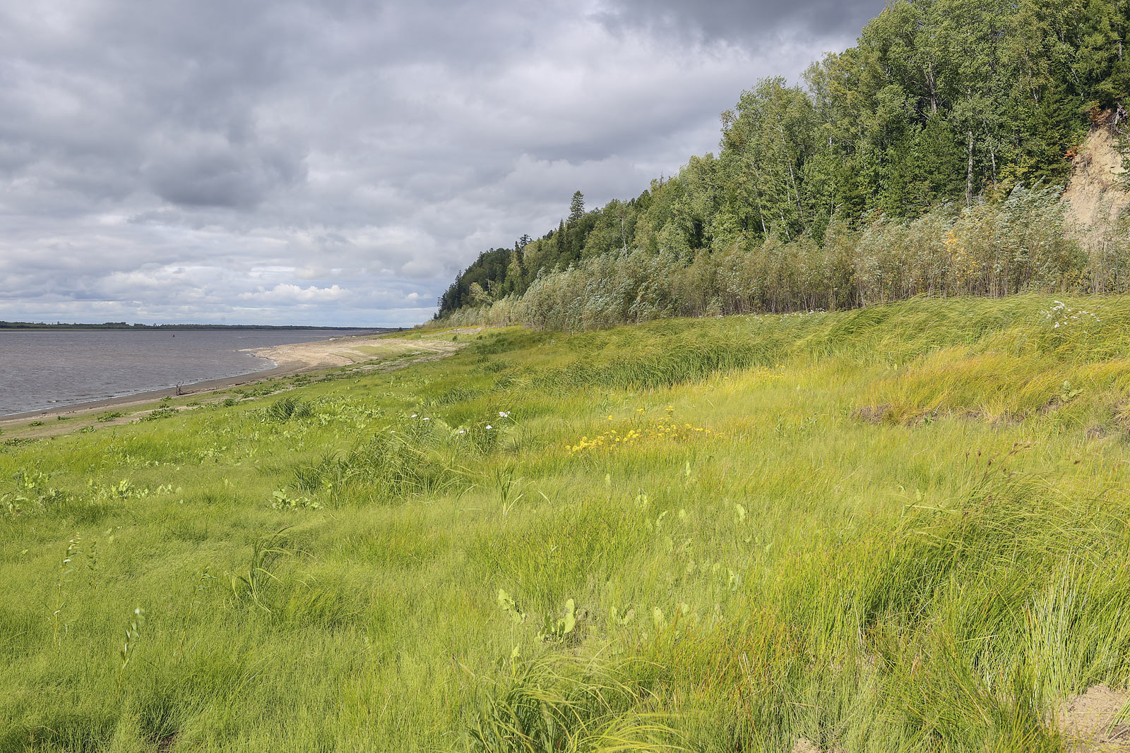 Окрестности Горнореченска, image of landscape/habitat.