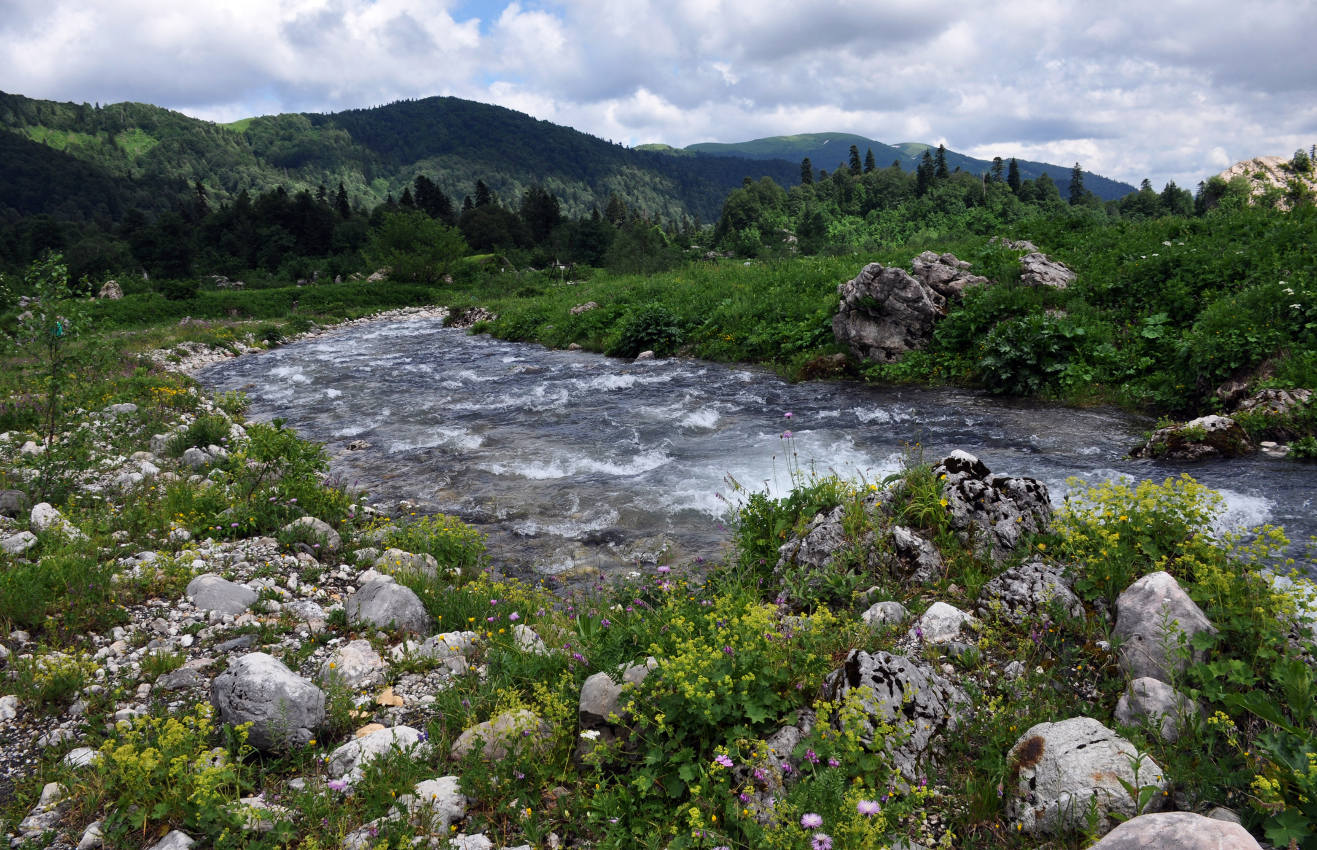 Верховья реки Белая, изображение ландшафта.