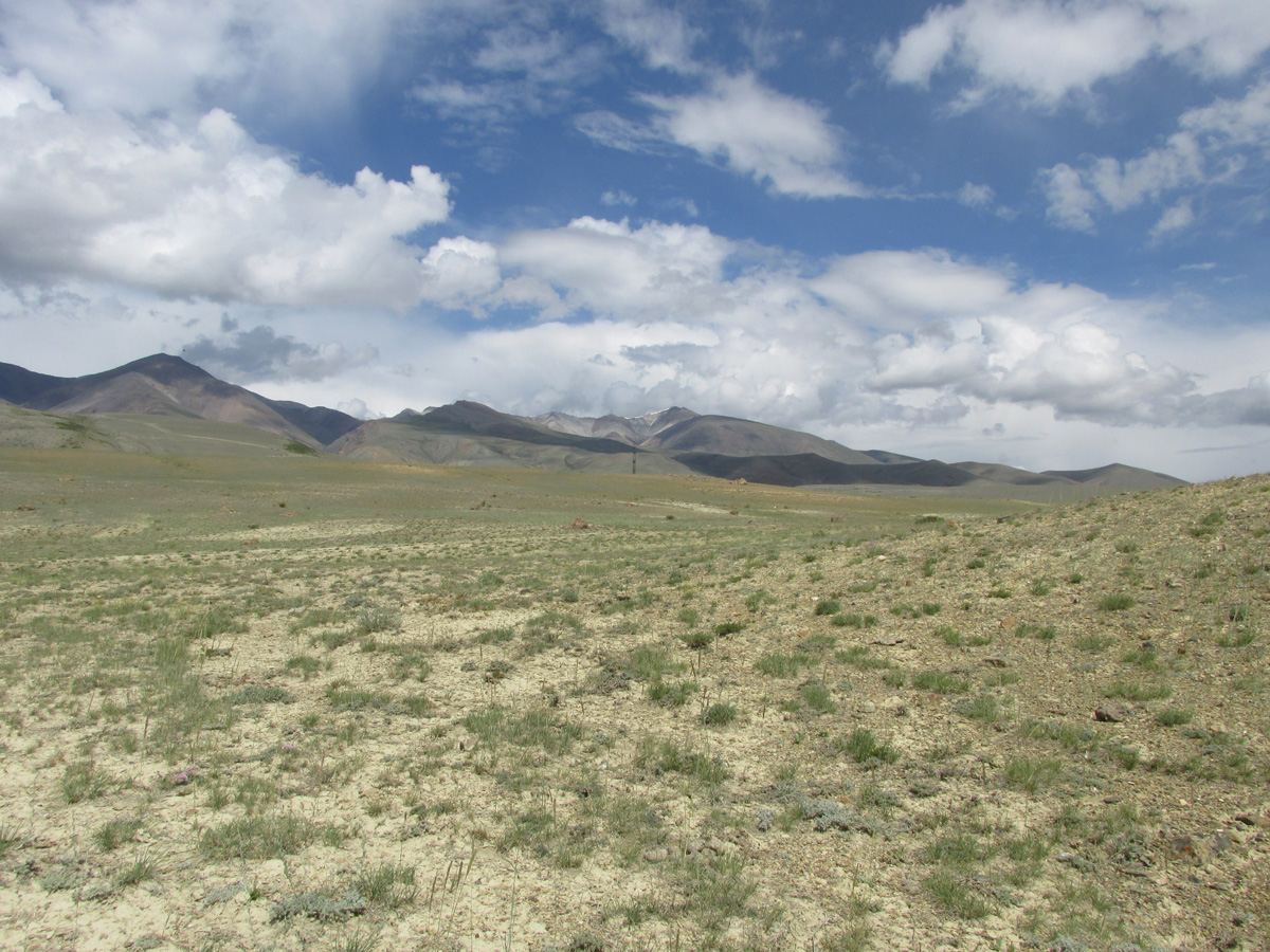 Тыдтуярык (кемпинг и рядом), image of landscape/habitat.