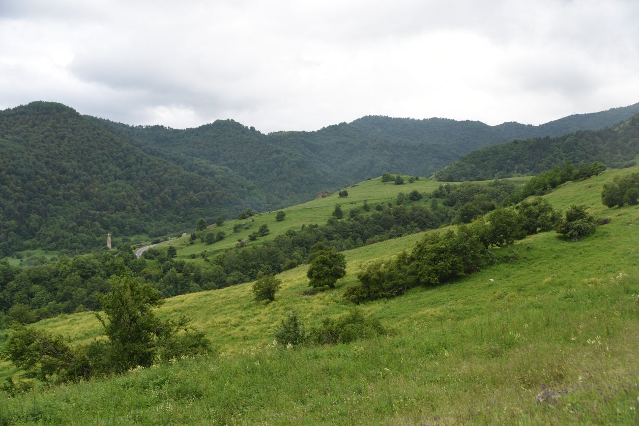 Верхний Лейми, image of landscape/habitat.