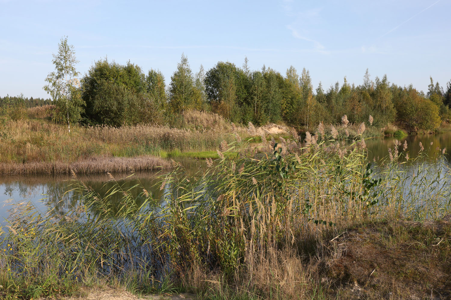 Песчаные карьеры посёлка Новинка, image of landscape/habitat.