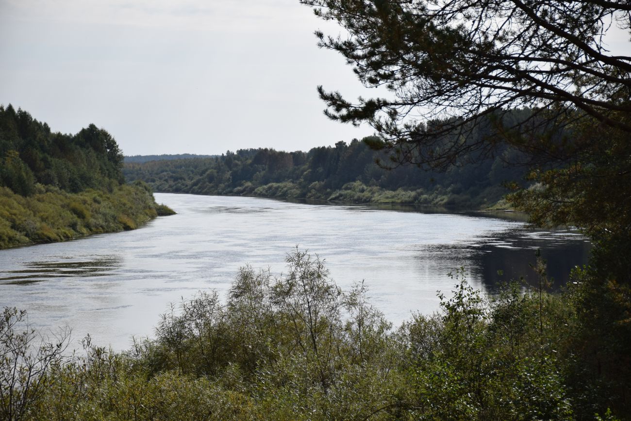 Окрестности села Илешево, image of landscape/habitat.