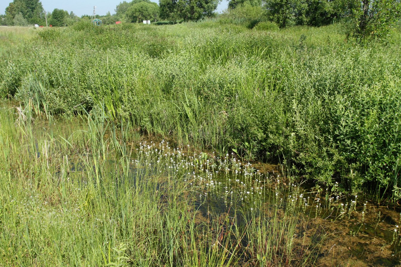 Езерище и окрестности, image of landscape/habitat.