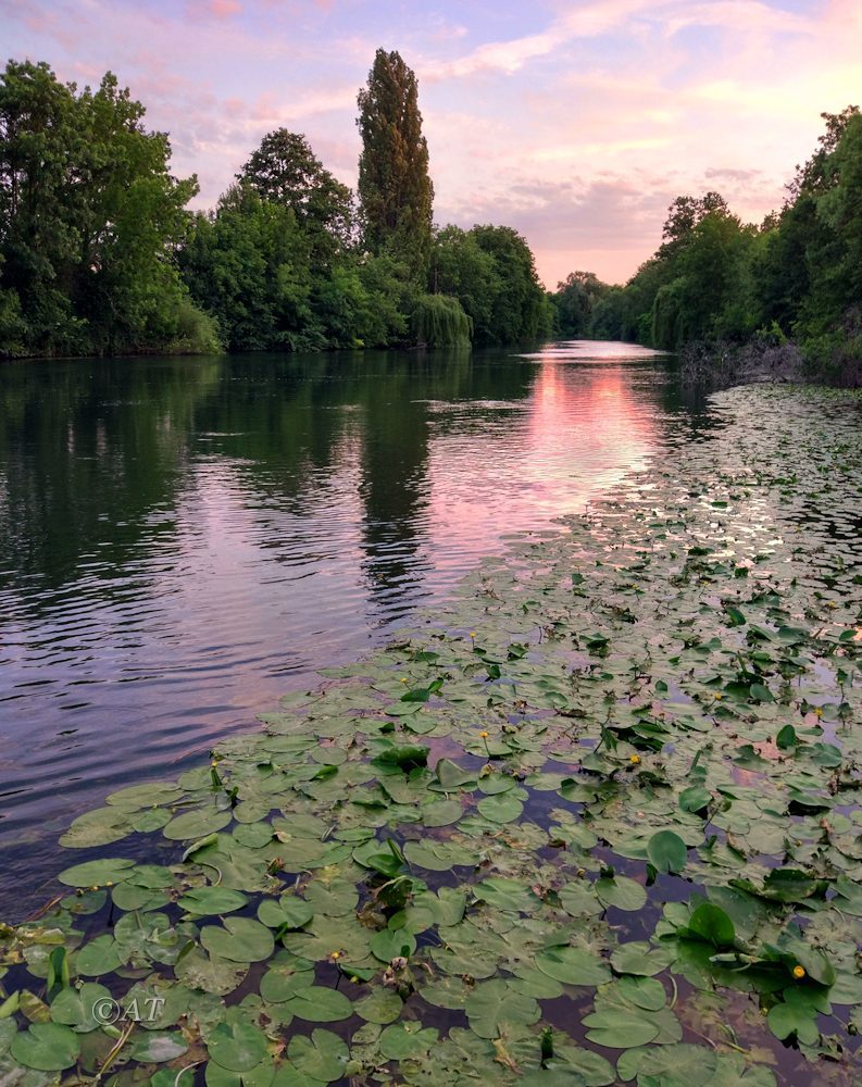 Страсбург, image of landscape/habitat.