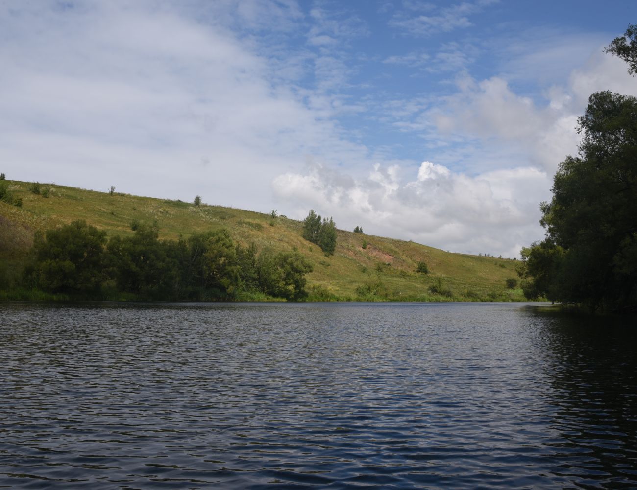 Окрестности деревни Дубки, image of landscape/habitat.