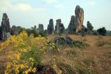 Каменный лес Шилинь, image of landscape/habitat.