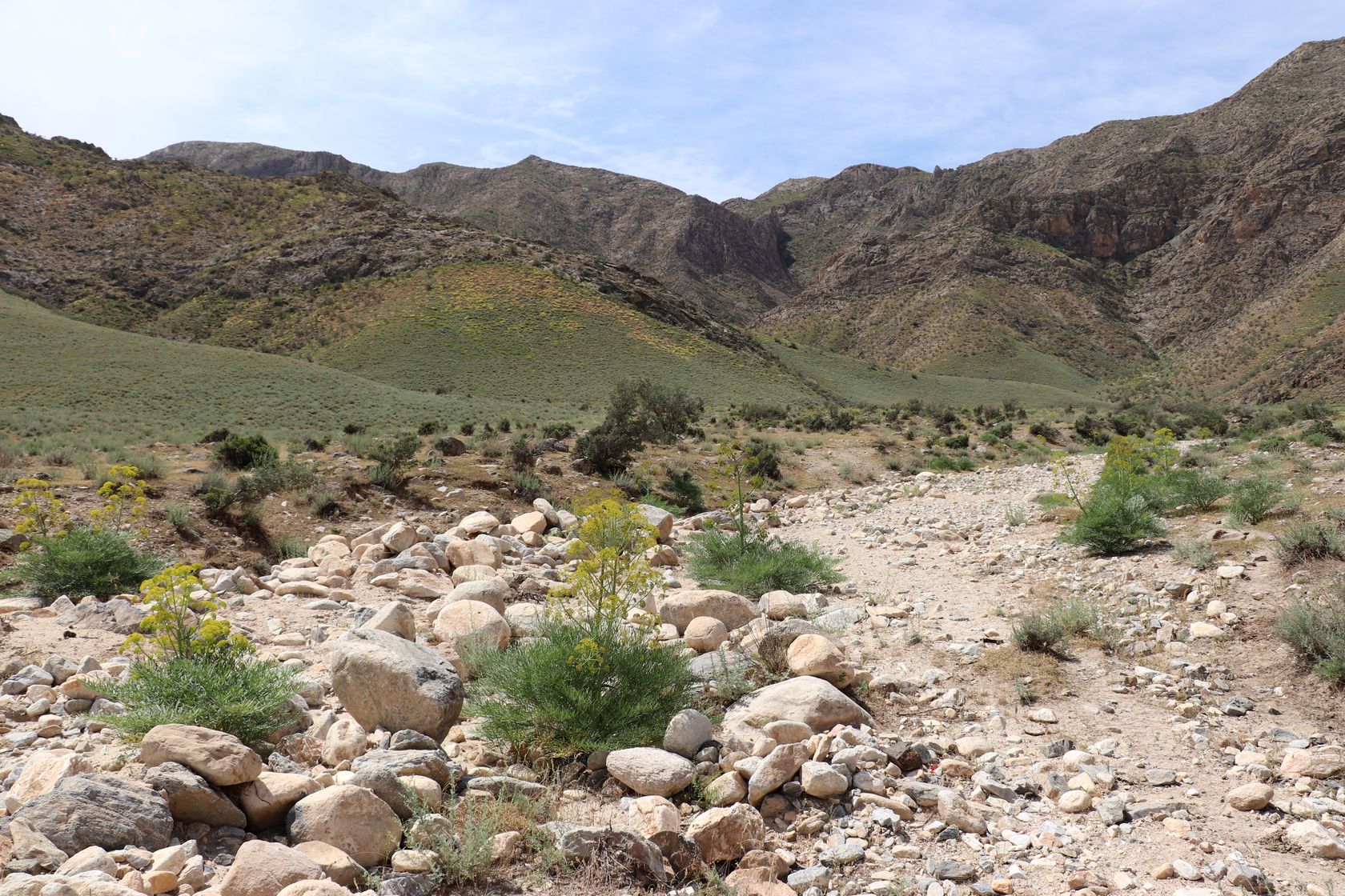 Горы Бахильтау, image of landscape/habitat.