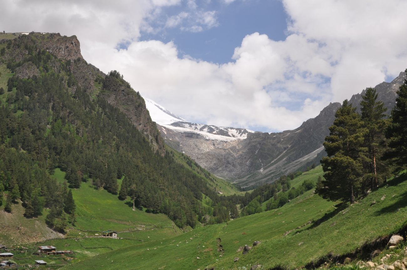 Долина реки Терскол, image of landscape/habitat.