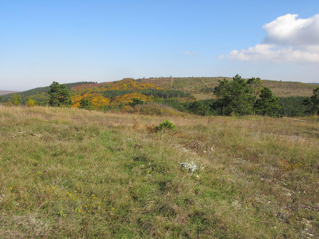 Перевал Волчьи Bорота, image of landscape/habitat.