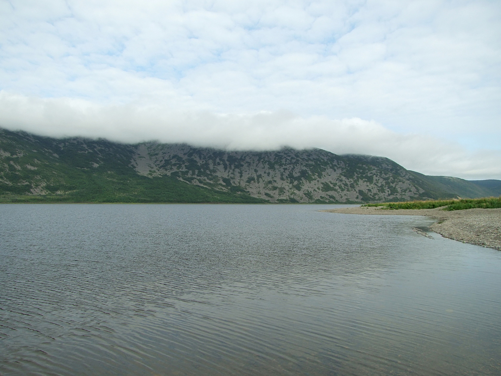 Соленое, image of landscape/habitat.