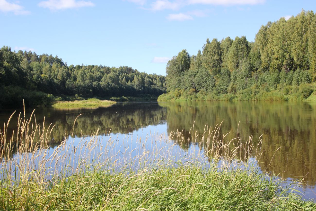 Окрестности руч. Верхний Мильнюк, image of landscape/habitat.