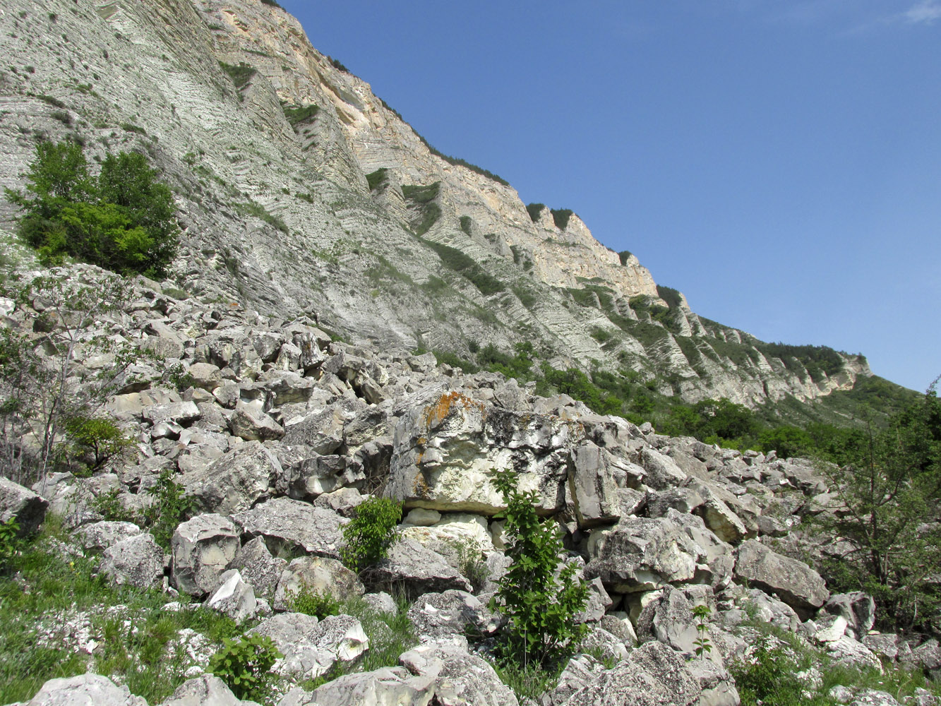 Цудахар, image of landscape/habitat.