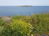 Остров Сирос, изображение ландшафта.