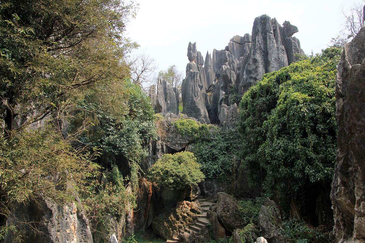 Каменный лес Шилинь, image of landscape/habitat.