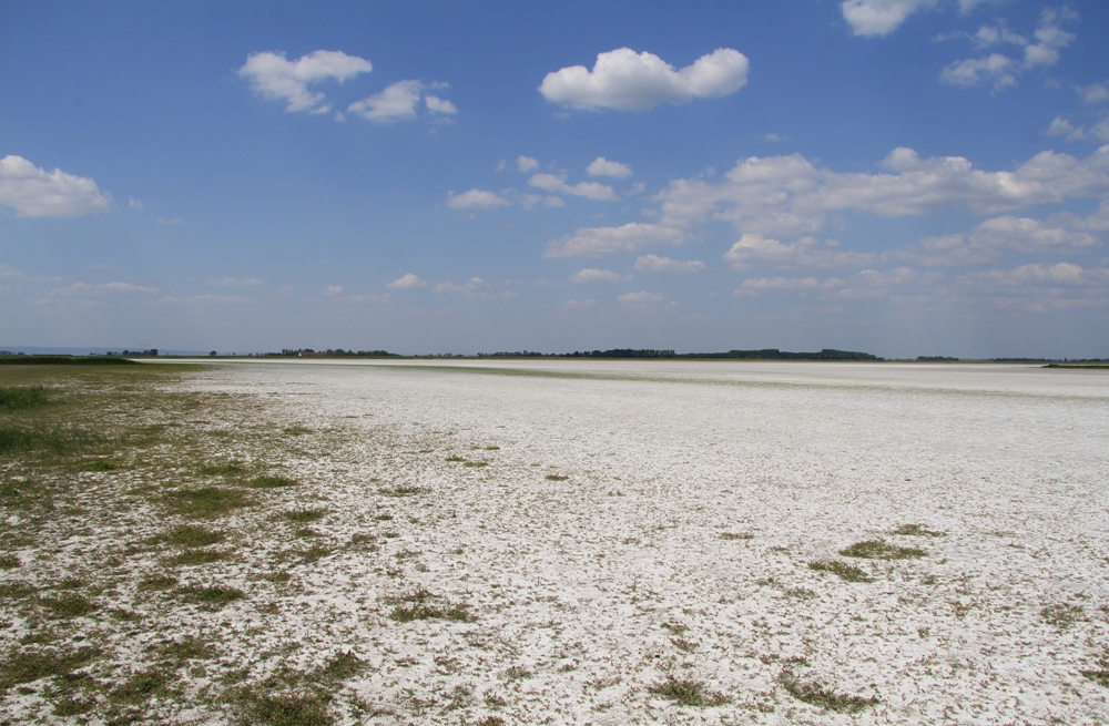 Нойзидлерзее-Зеевинкель, image of landscape/habitat.