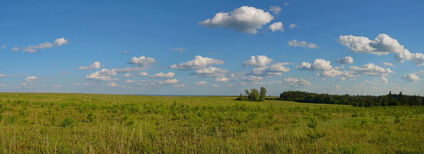 Окрестности деревни Поварёнки, image of landscape/habitat.