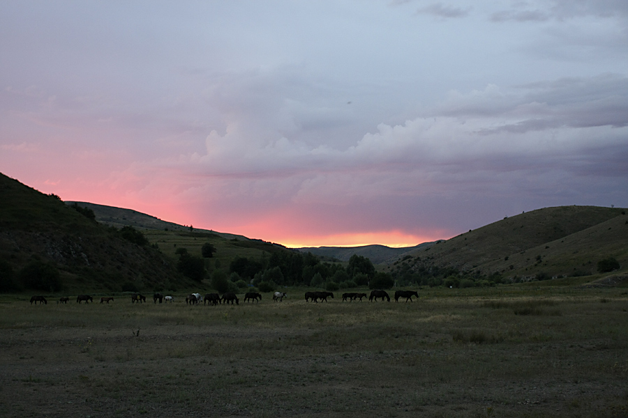 Верхний Боролдай, image of landscape/habitat.