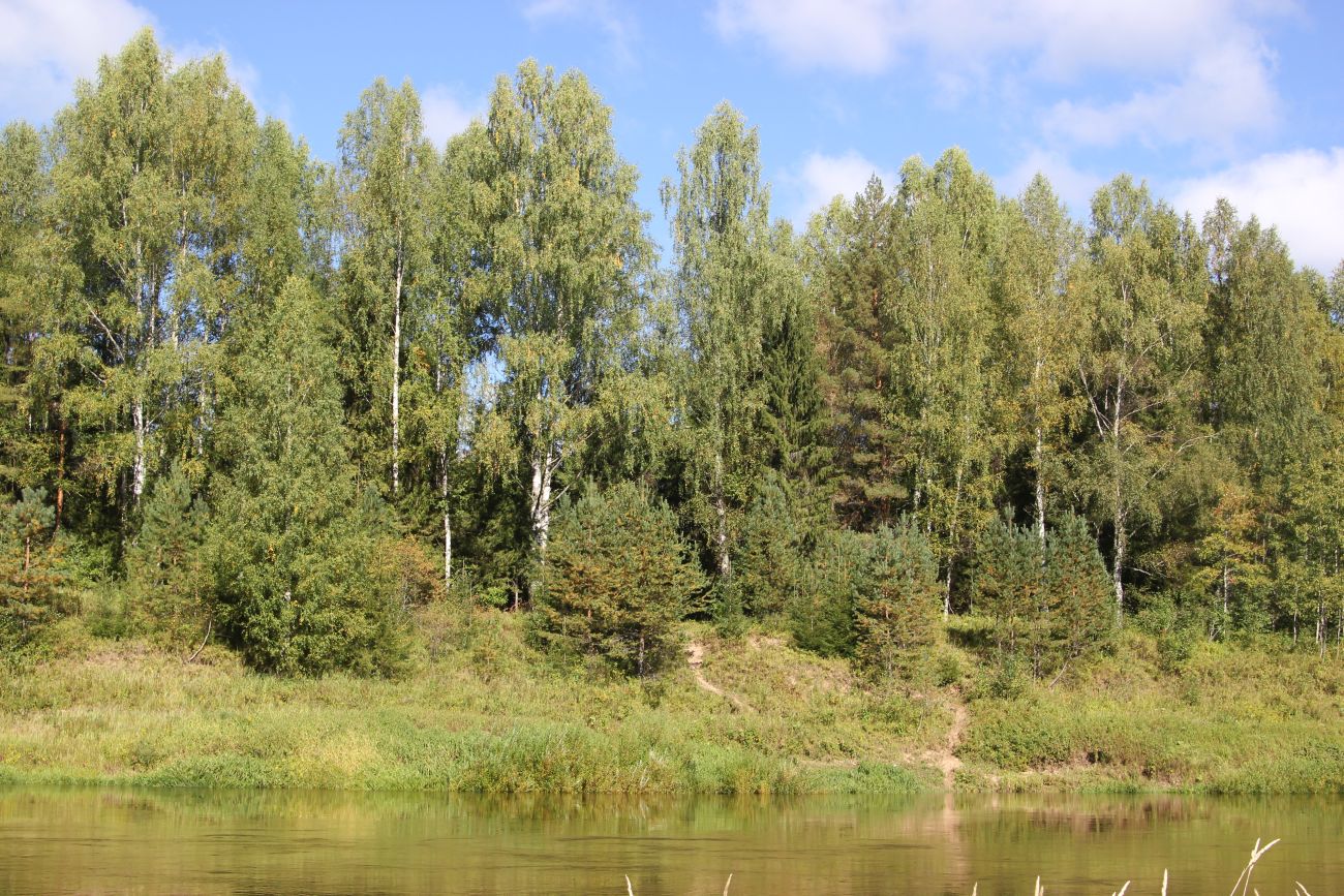 Окрестности руч. Верхний Мильнюк, image of landscape/habitat.