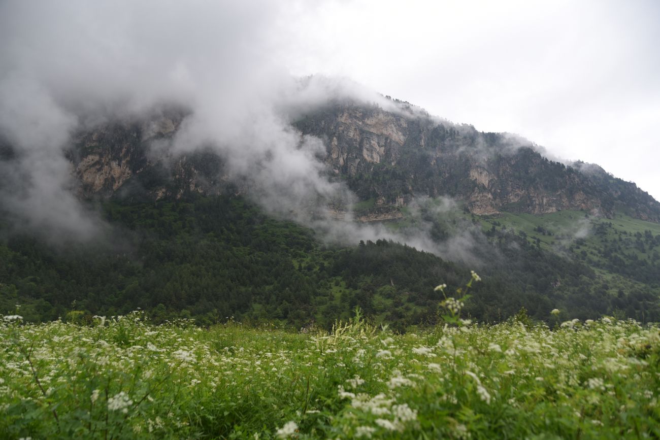 Верхний Лейми, image of landscape/habitat.