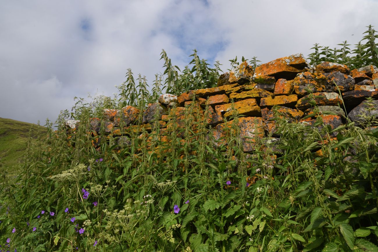 Урочище Кязи и окрестности, image of landscape/habitat.