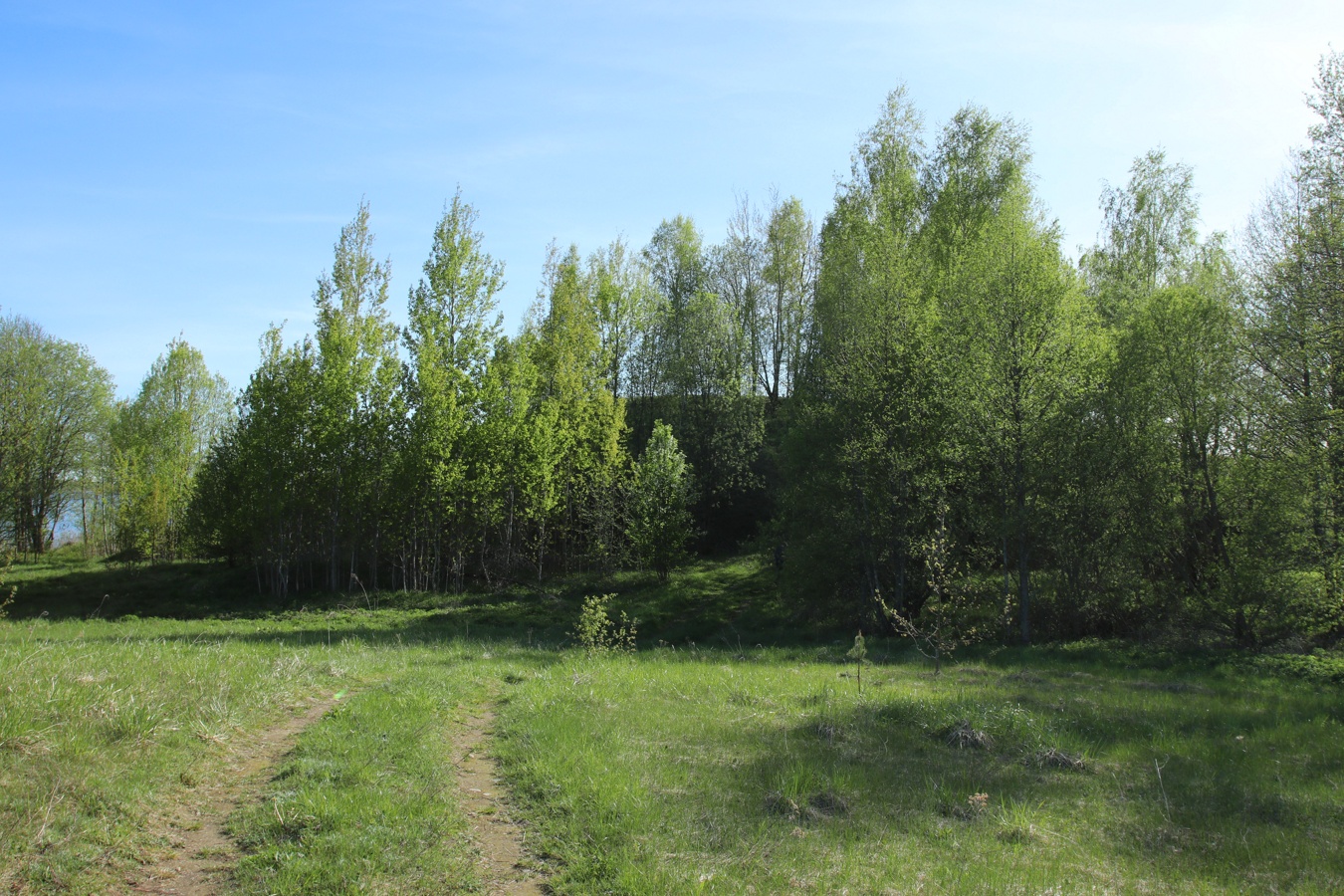 Окрестности Худоярово, image of landscape/habitat.