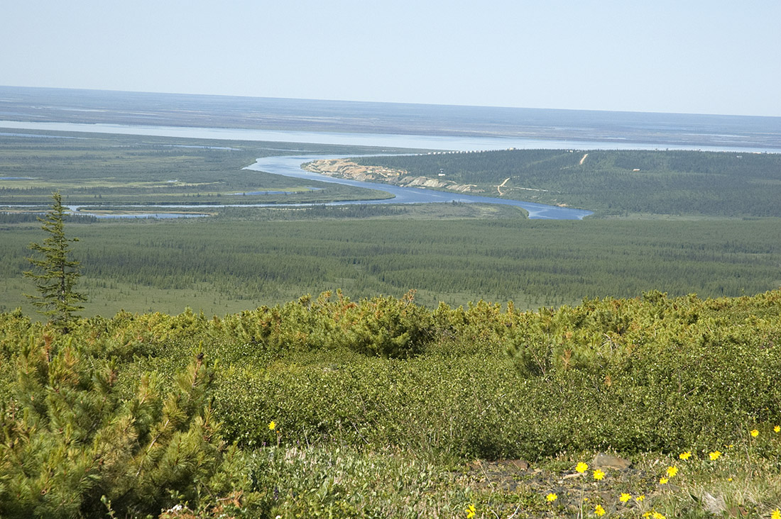 Окрестности посёлка Черский, image of landscape/habitat.