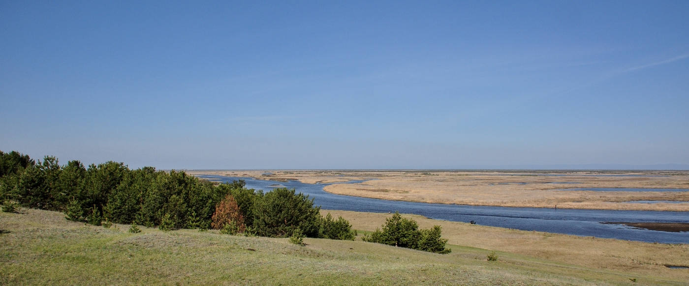 Дельта реки Селенги, image of landscape/habitat.