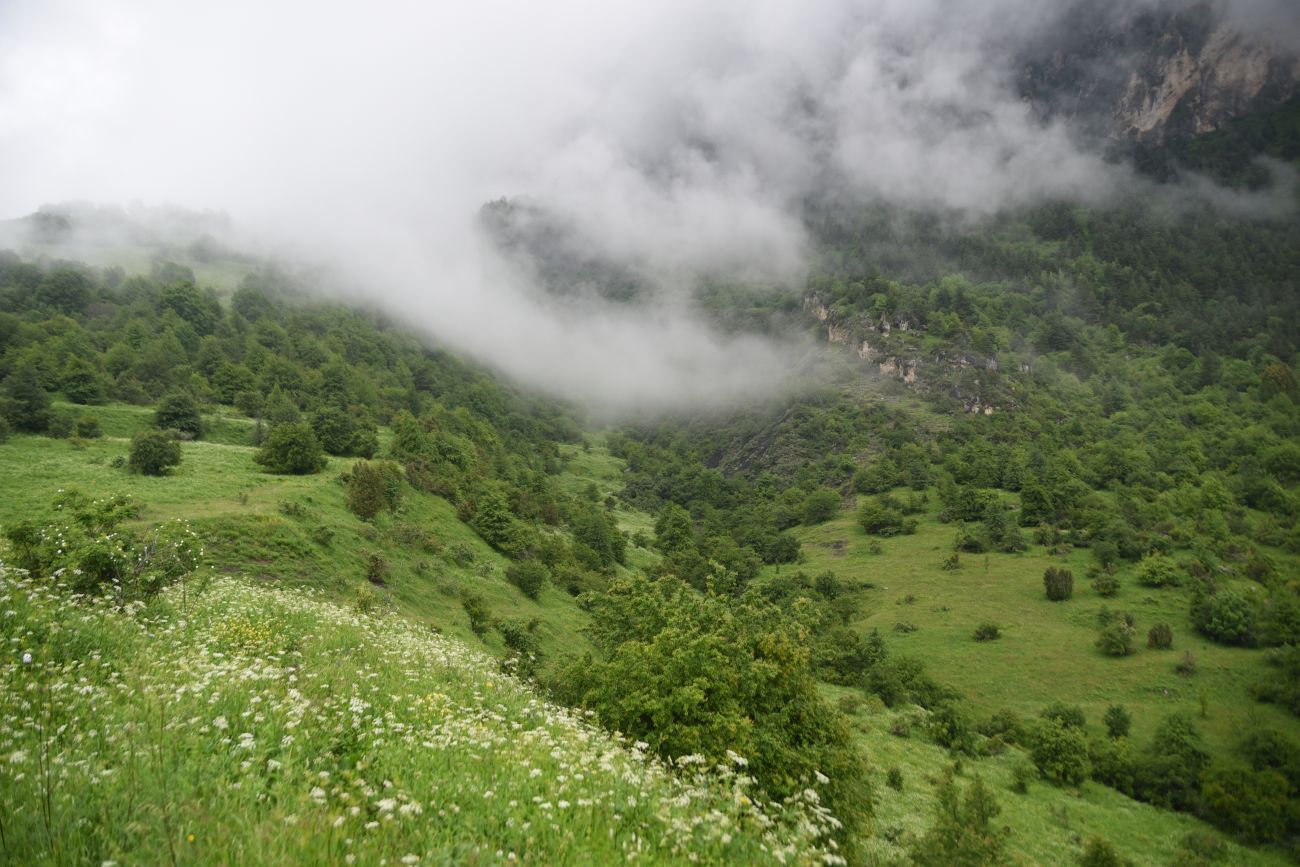 Верхний Лейми, image of landscape/habitat.