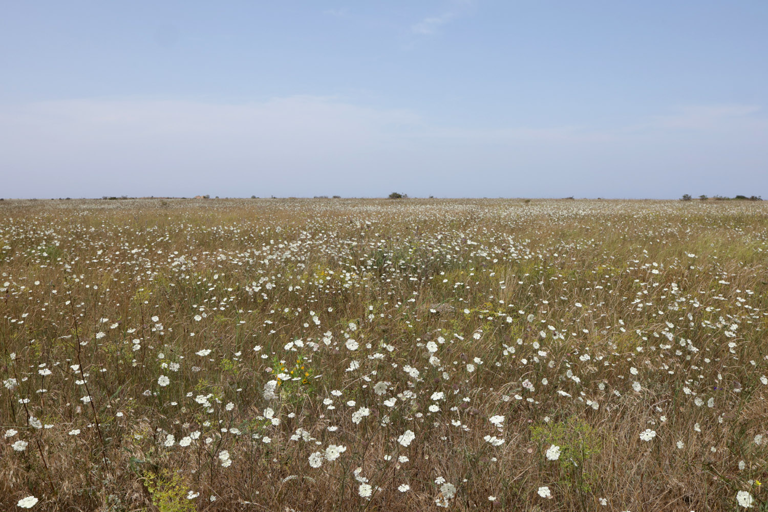 Большой Кастель, image of landscape/habitat.