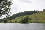 Урочище Крутые Дубки, image of landscape/habitat.