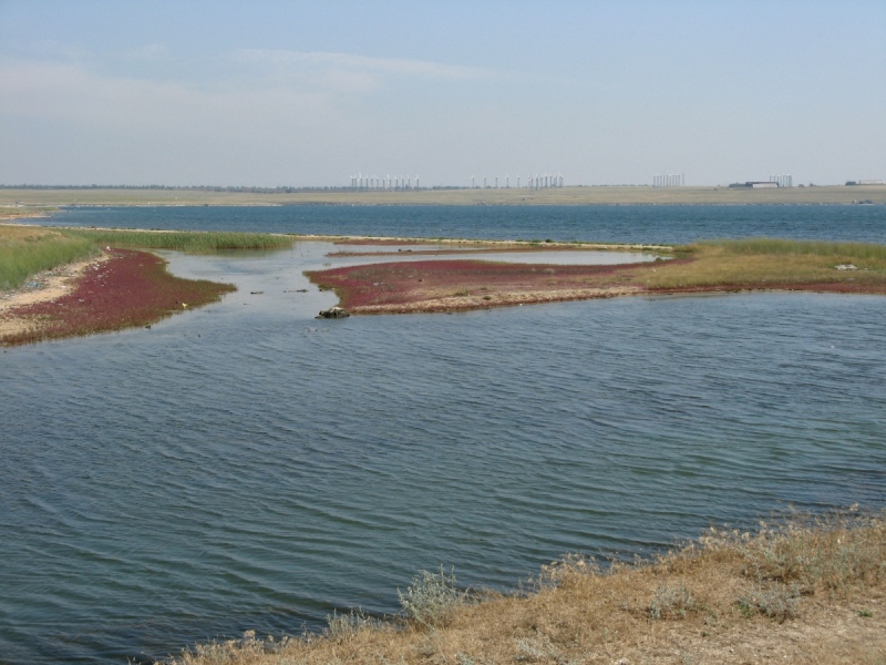 Донузлав, image of landscape/habitat.