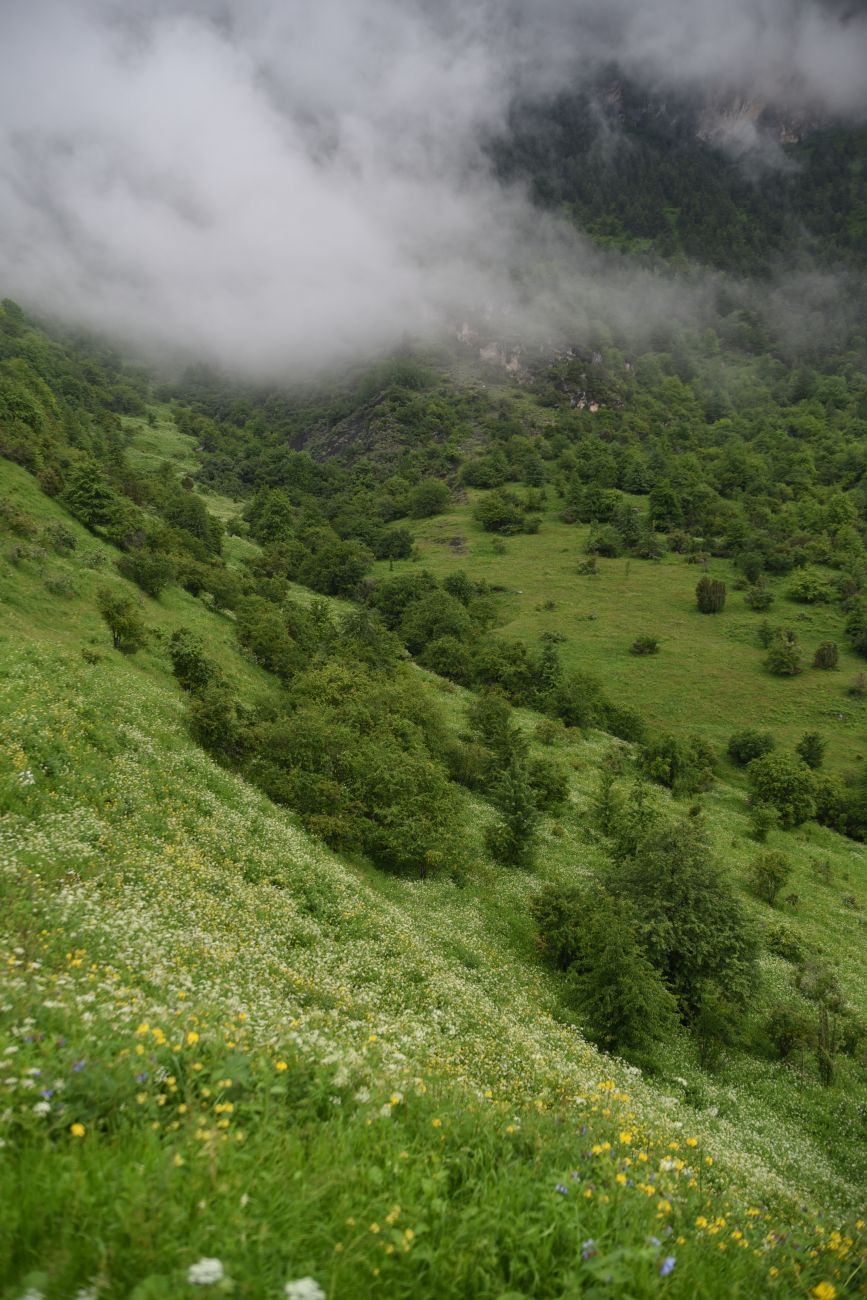 Верхний Лейми, image of landscape/habitat.