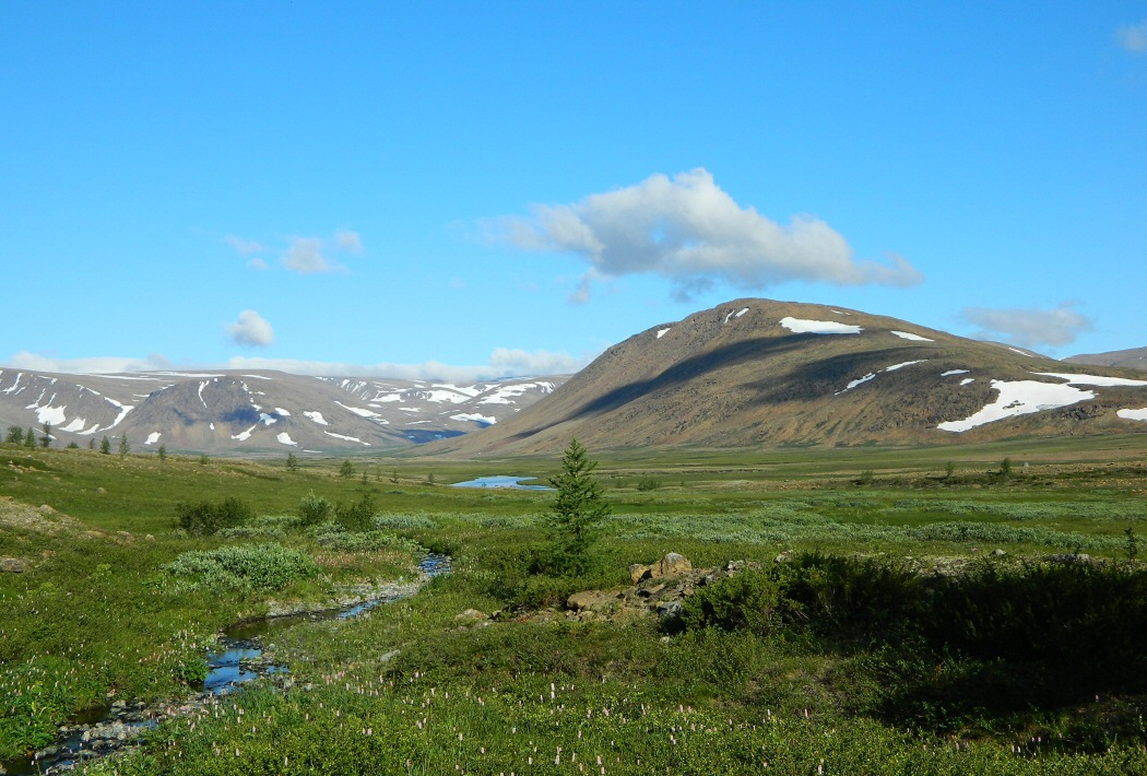 Хойла, image of landscape/habitat.