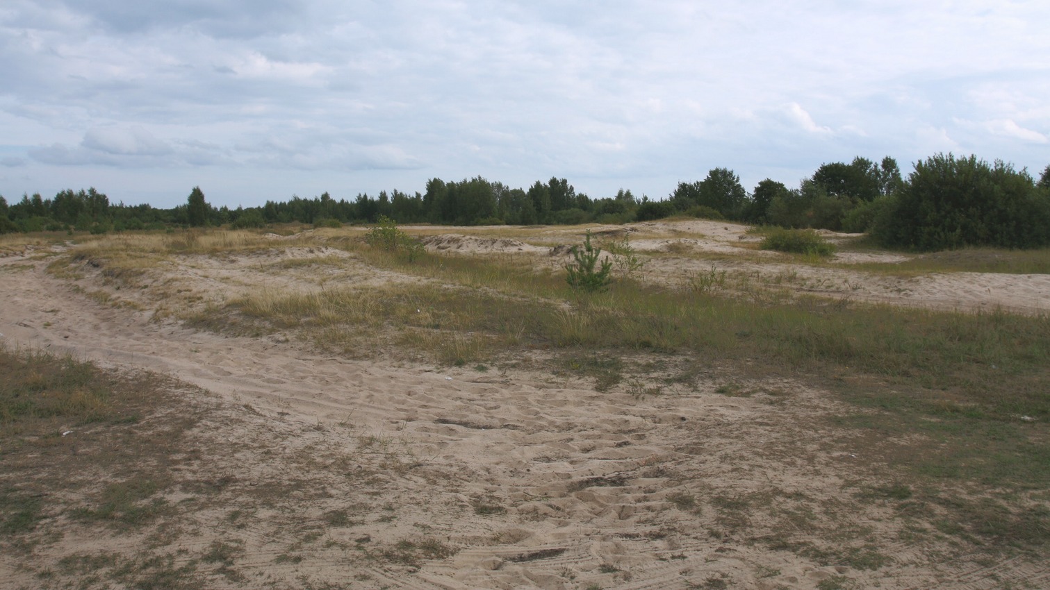 Спицино, image of landscape/habitat.