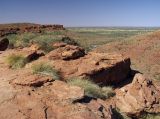 Kings Canyon, image of landscape/habitat.