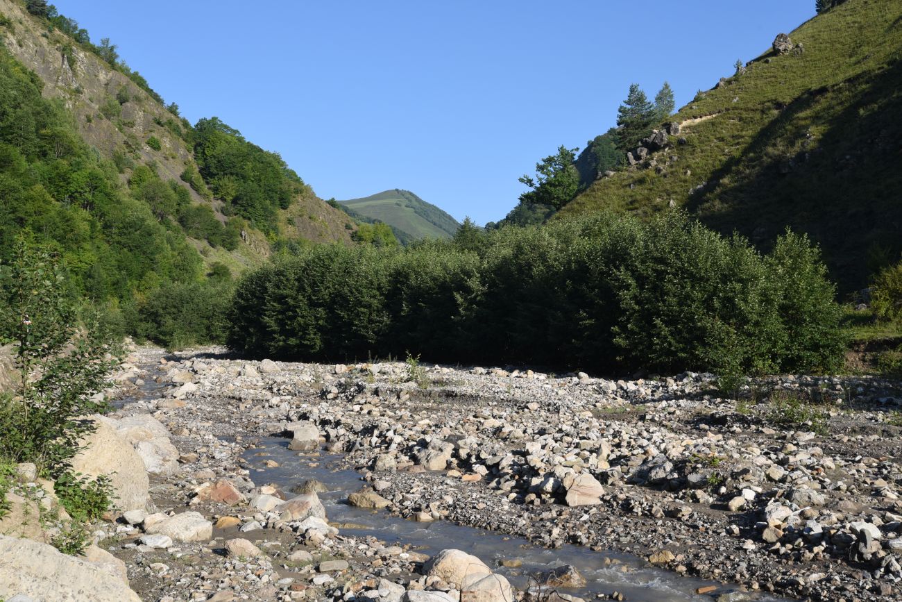 Нижнее течение Цесиахк, image of landscape/habitat.