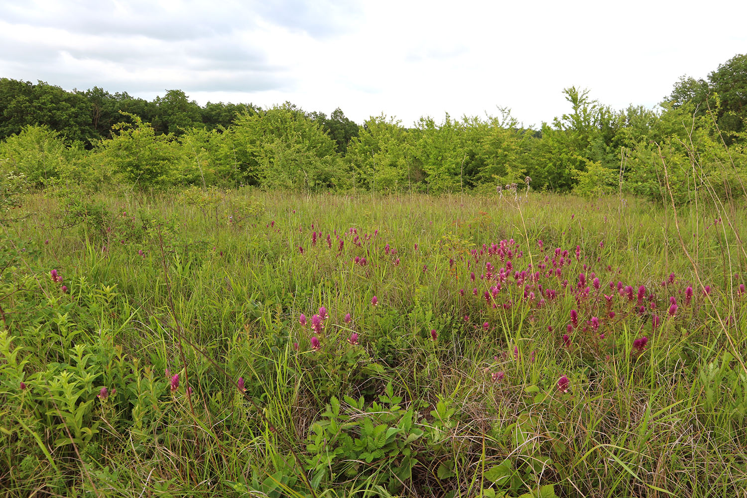 Глубокий Яр, image of landscape/habitat.