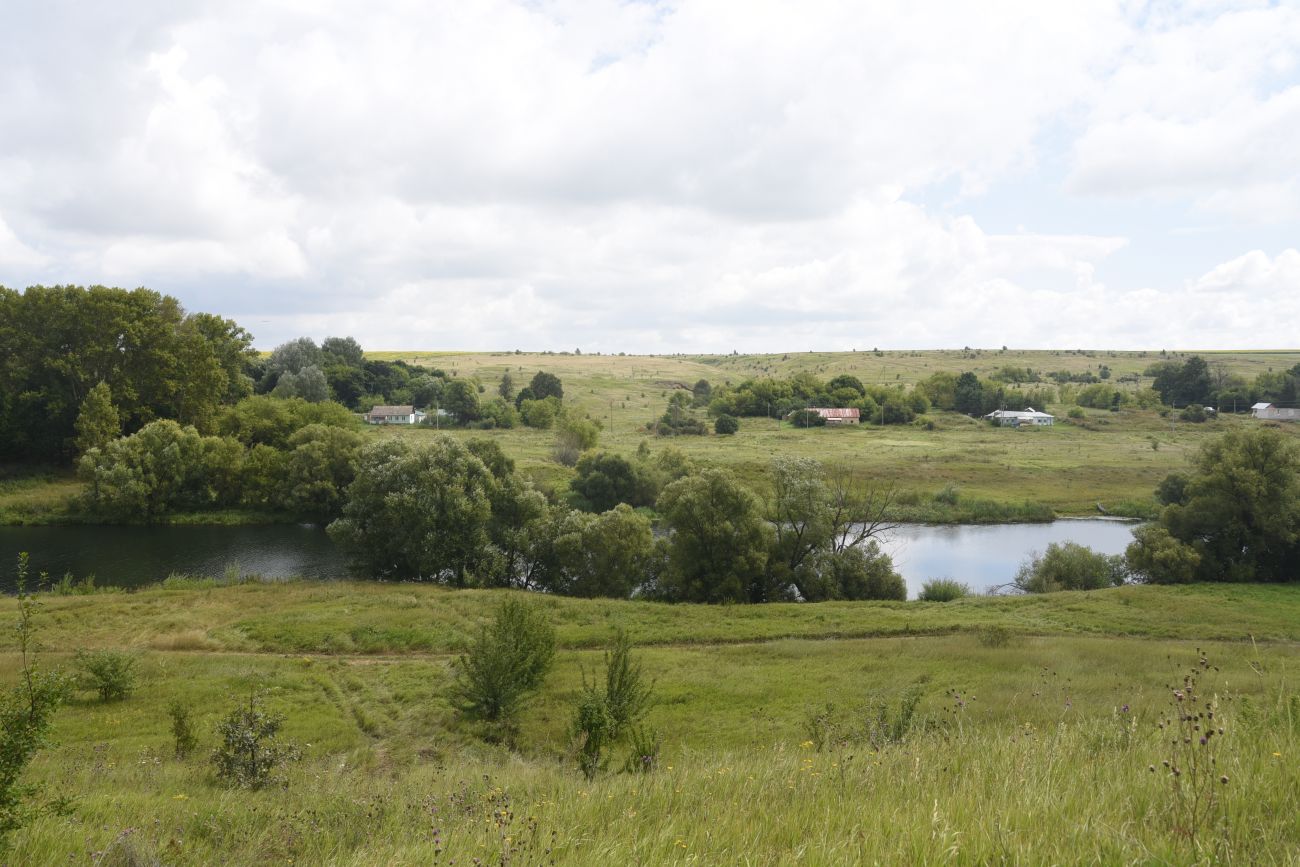 Окрестности деревни Дубки, image of landscape/habitat.